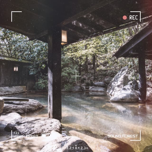 Sound Forest