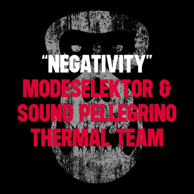 Sound Pellegrino Thermal Team