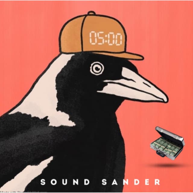 Sound sander