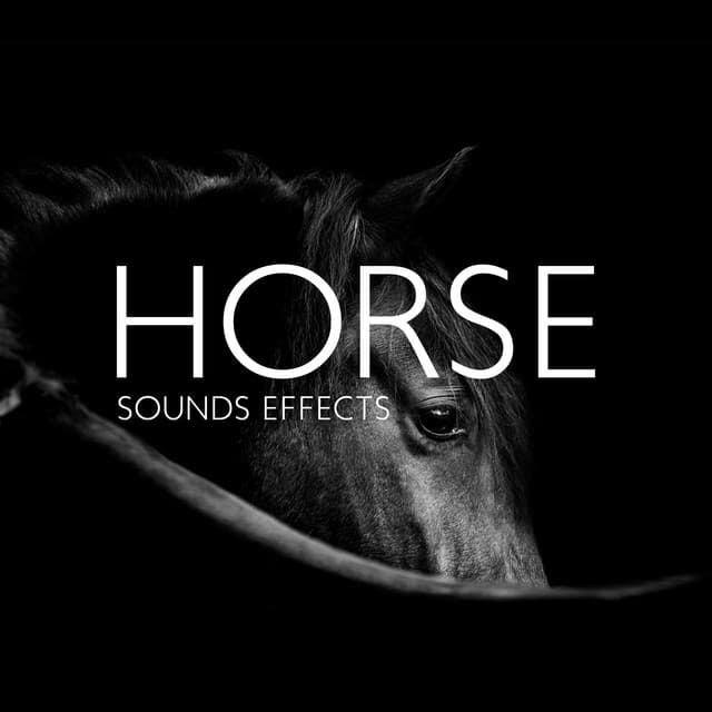 Sounds Effects Academy