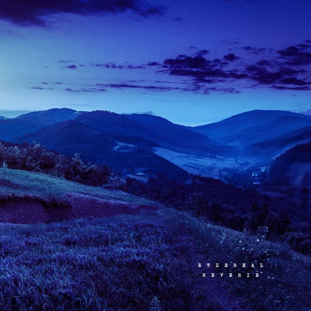 Soundscapes Syndicate