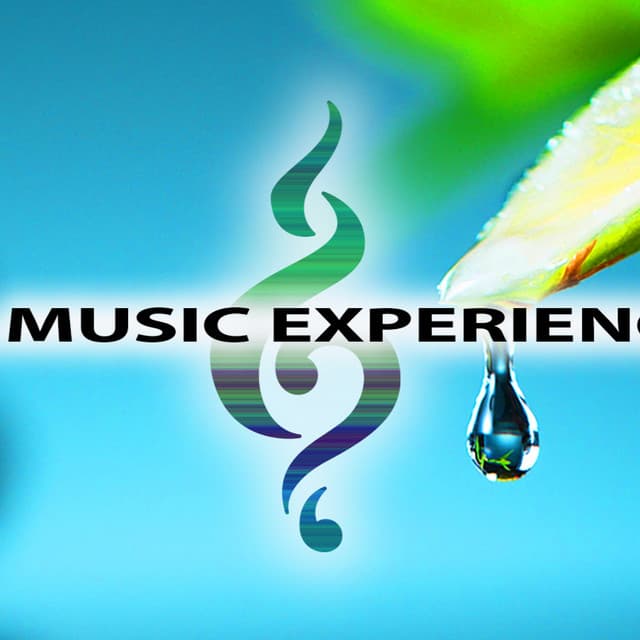 Spa Music Experience