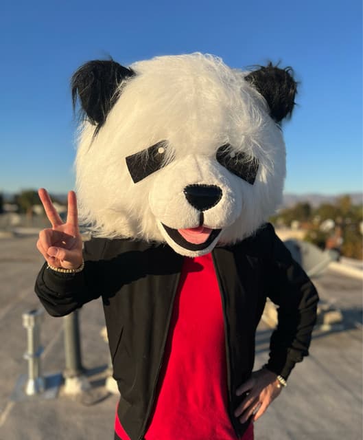 SPACE_PANDA