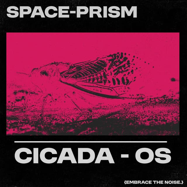 Space Prism
