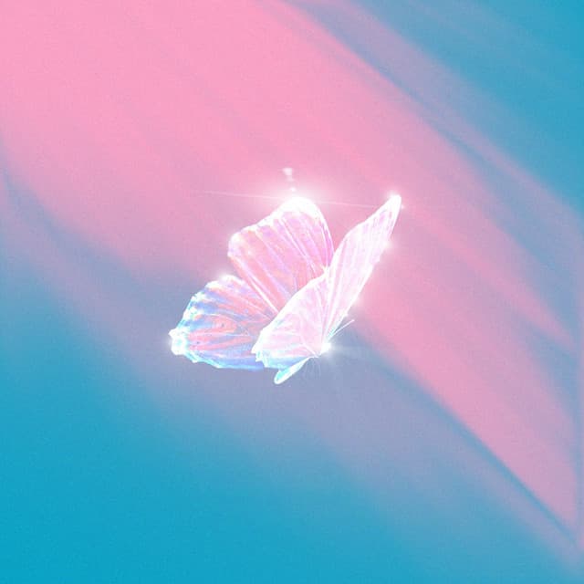 Spaced Out Dreams