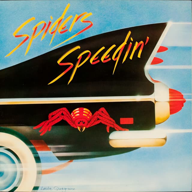 Spiders