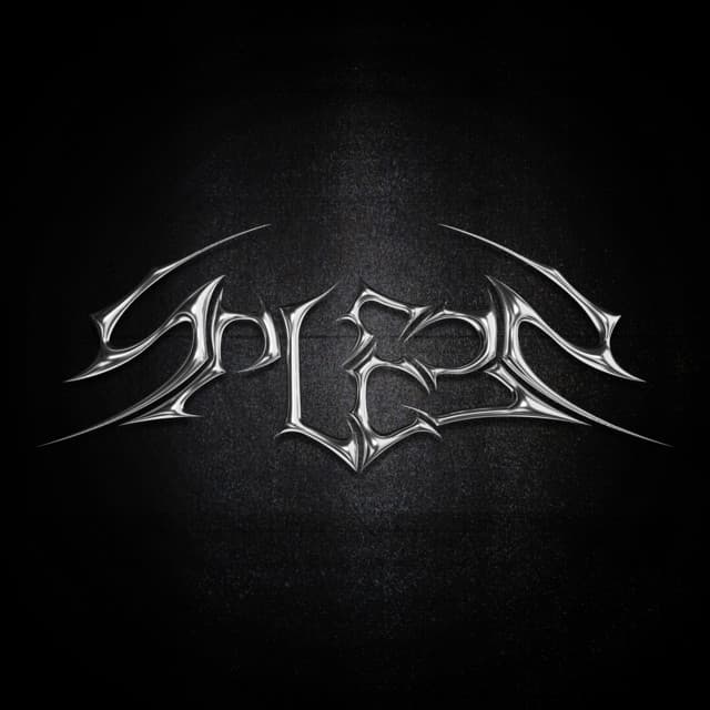 SPLEEN