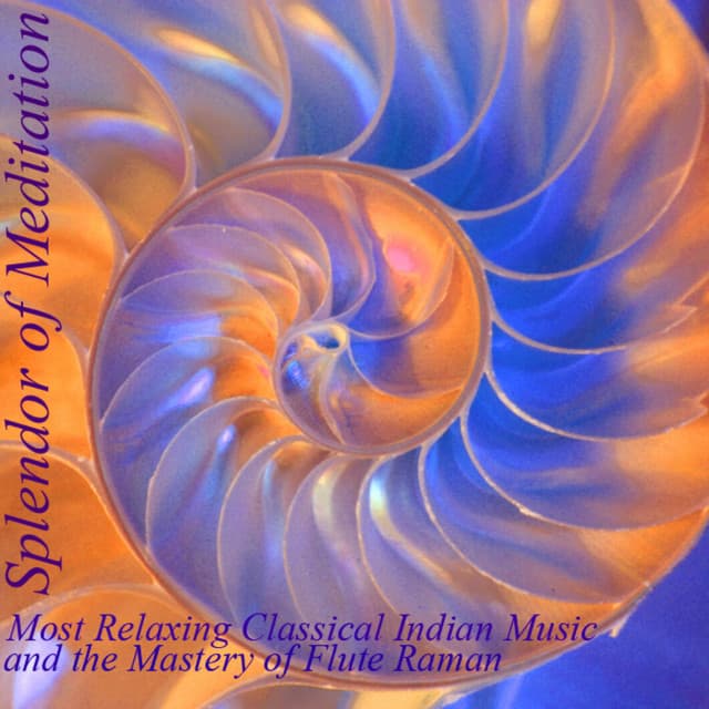 Splendor of Meditation