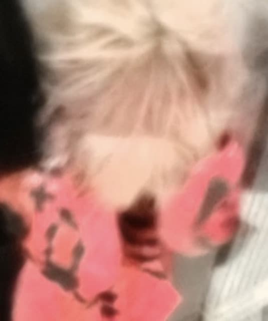 spxxky