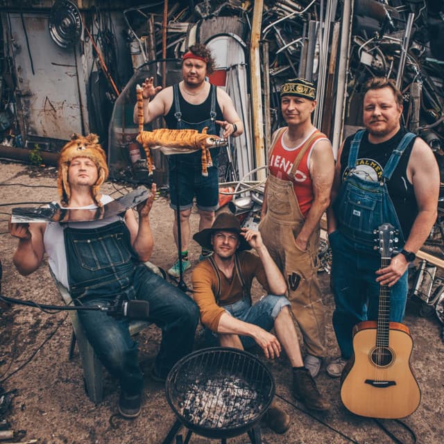 Steve ´n´ Seagulls