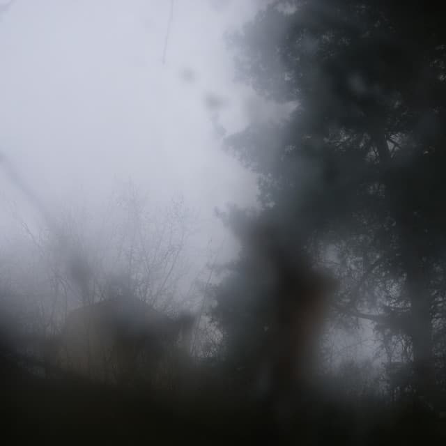 stillalone