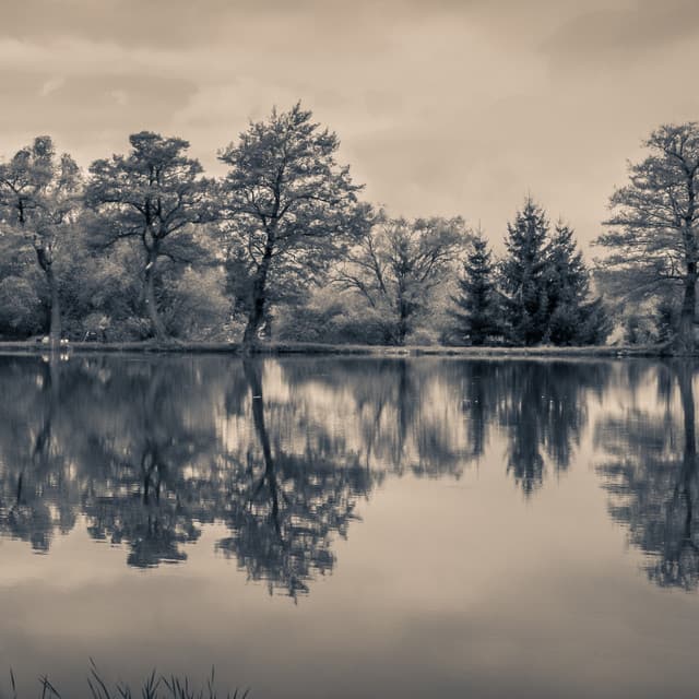 Stillness Sanctuary
