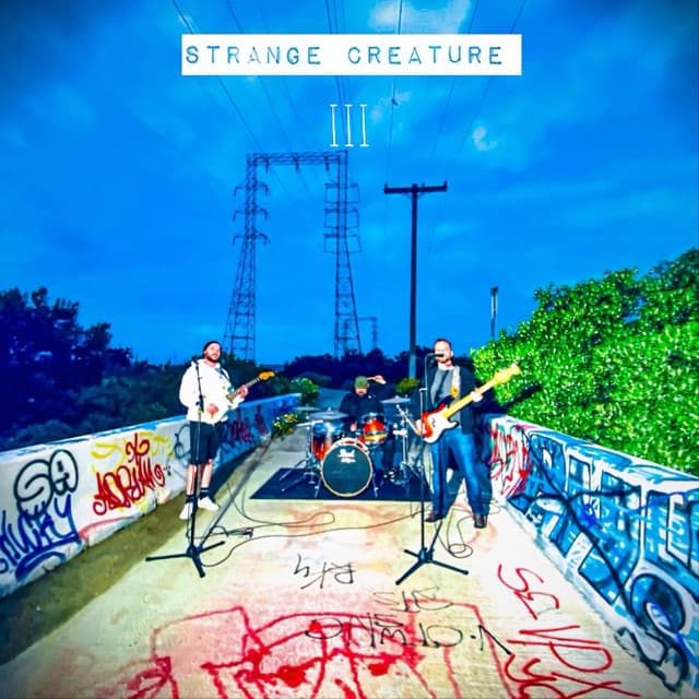 Strange Creature