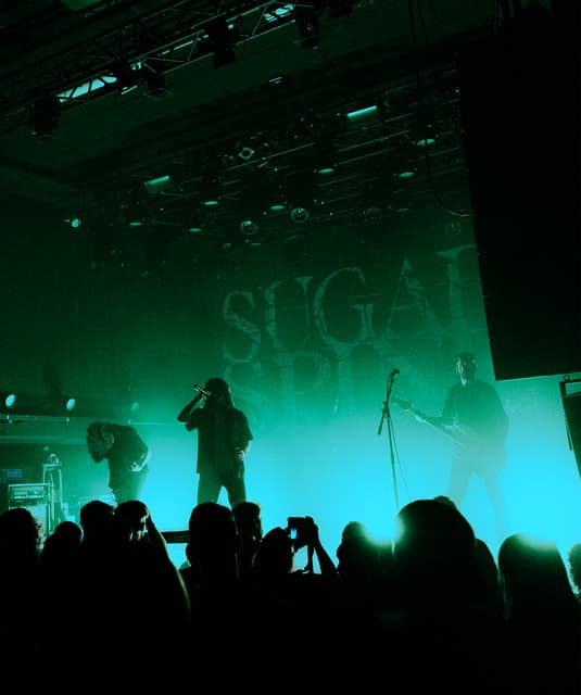 Sugar Spine