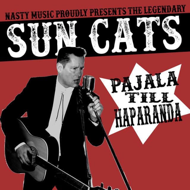 Sun Cats