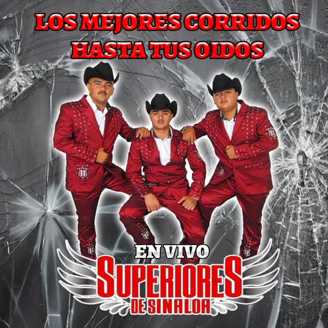 Superiores De Sinaloa
