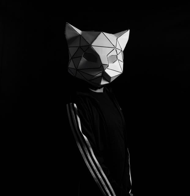 Swatkat