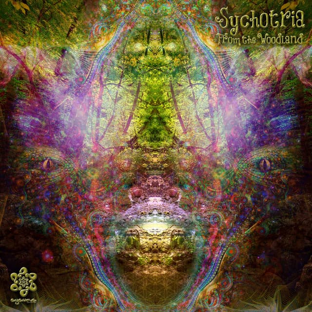 Sychotria