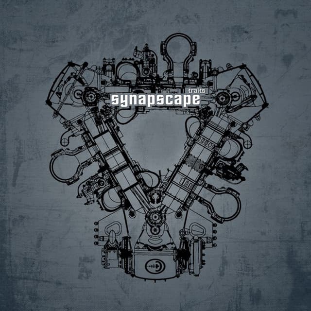 Synapscape