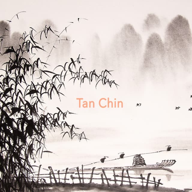 Tan Chin