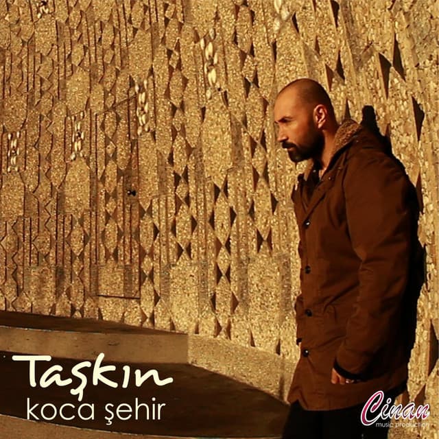 Taşkın
