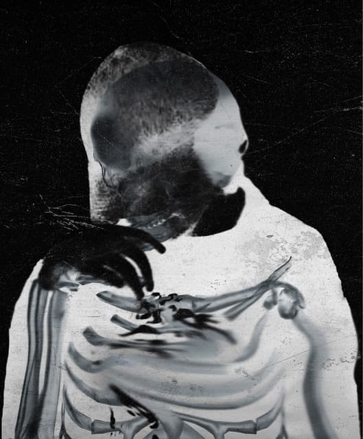 Tazdied