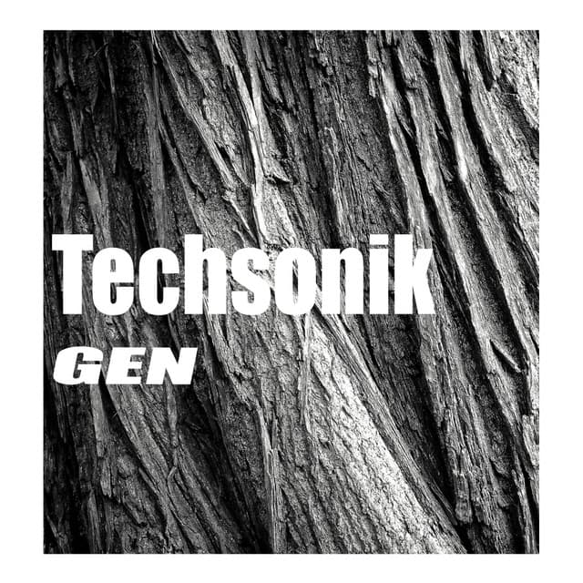 Techsonik