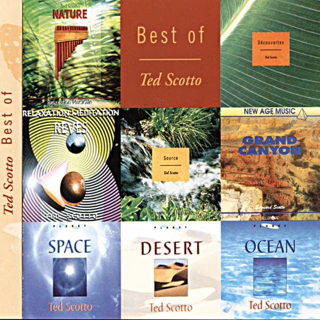 Ted Scotto