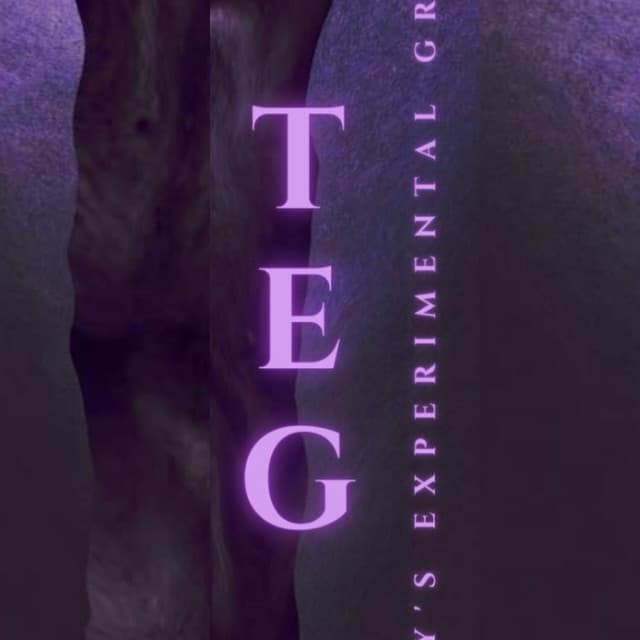 TEG (Tony's Experimental Group)