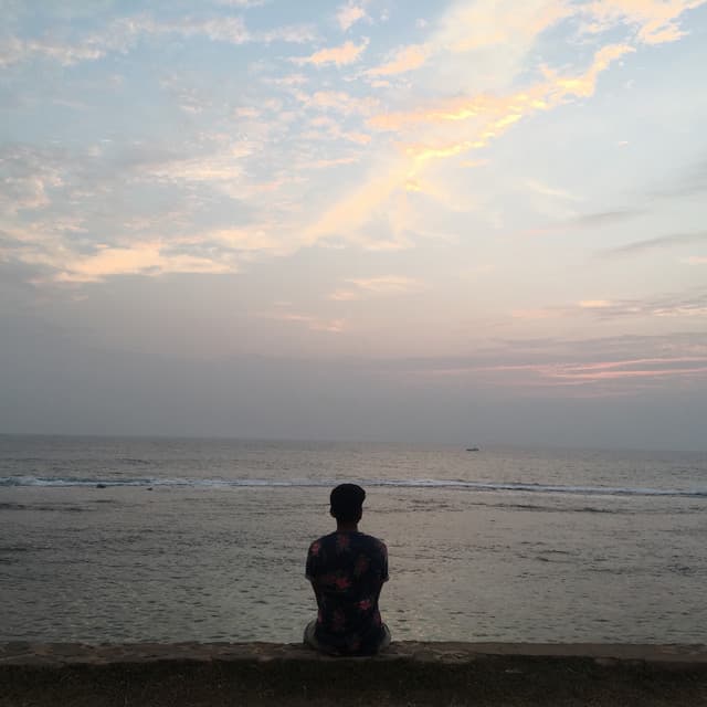Tejas V Menon