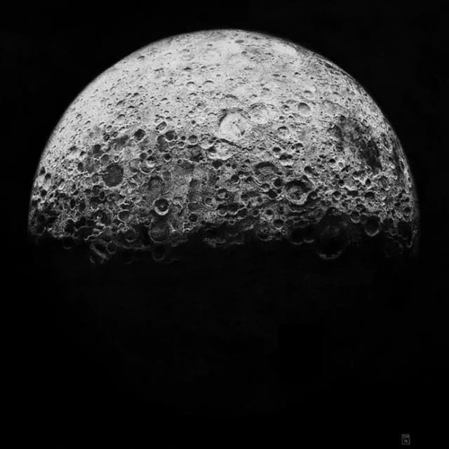 Telenoir