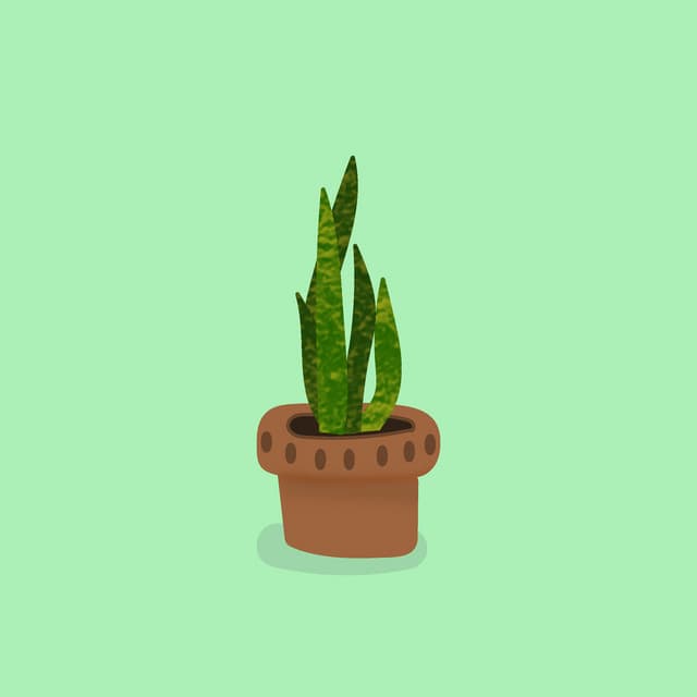 terrarium.