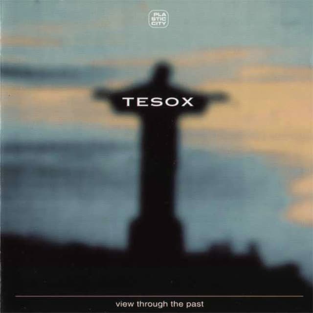 Tesox