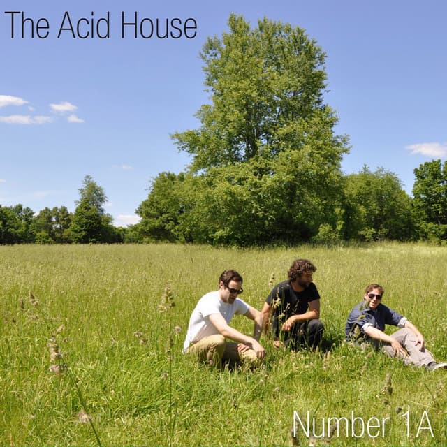 The Acid House