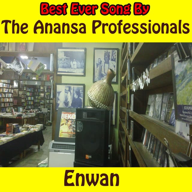The Anansa Professionals