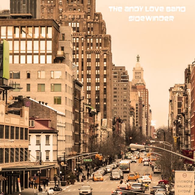 The Andy Love Band