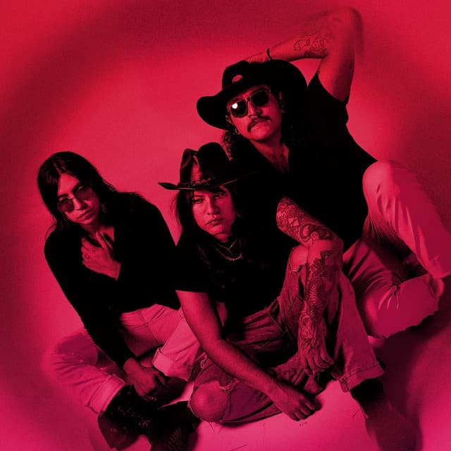 The Animal Plastics