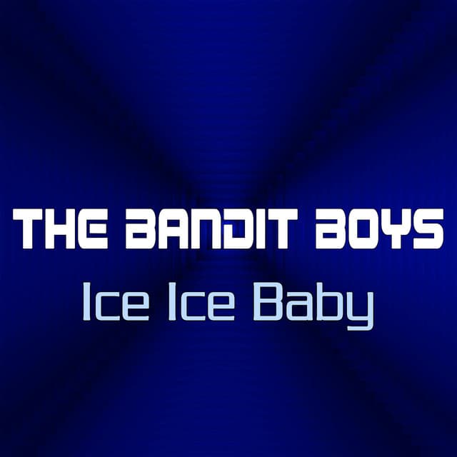 The Bandit Boys
