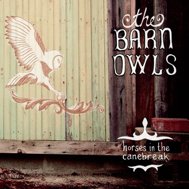 The Barn Owls