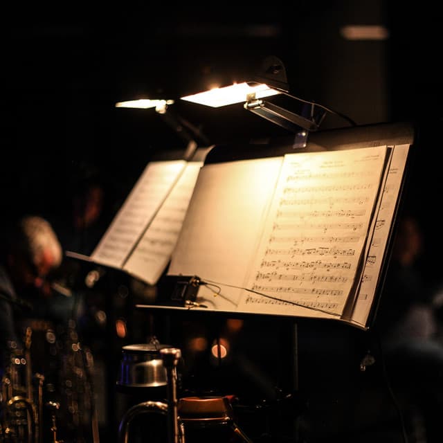 The Bedtime Orchestra