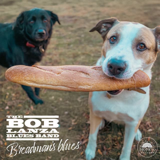 The Bob Lanza Blues Band