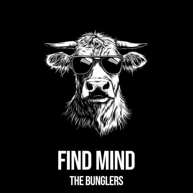 The Bunglers