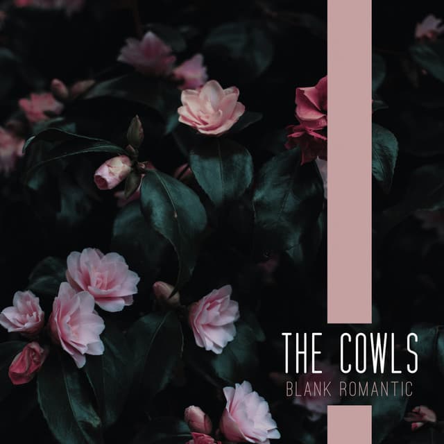 The Cowls