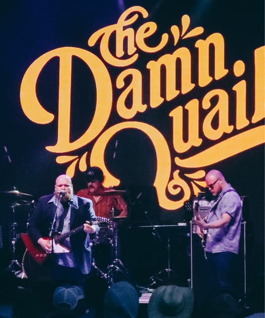 The Damn Quails