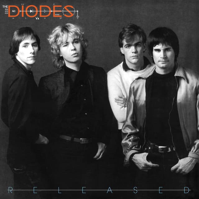 The Diodes
