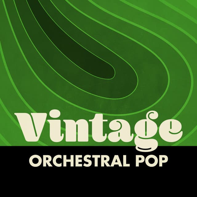 The Edmund Vera Orchestra