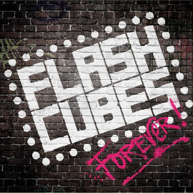 The Flashcubes