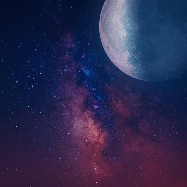 The Gray Spaceship