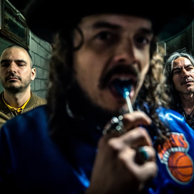 The Habit of The Rabbit