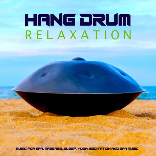 The Hang Drum Project